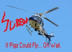 If Pigz Could Fly... Oh Wait.